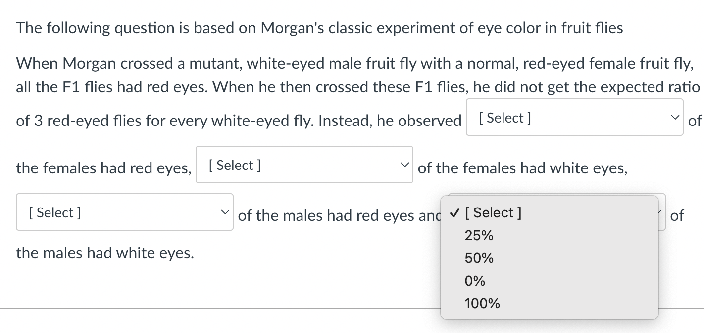 th morgan experiment