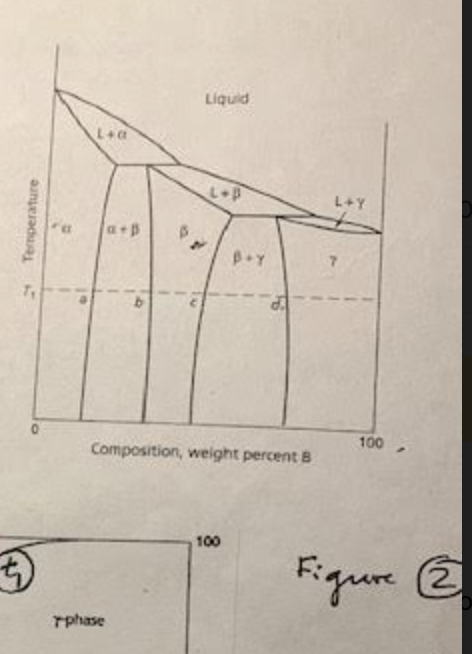 Solved 시 3. The phase diagram in Fig. 2 has a terminal phase | Chegg.com