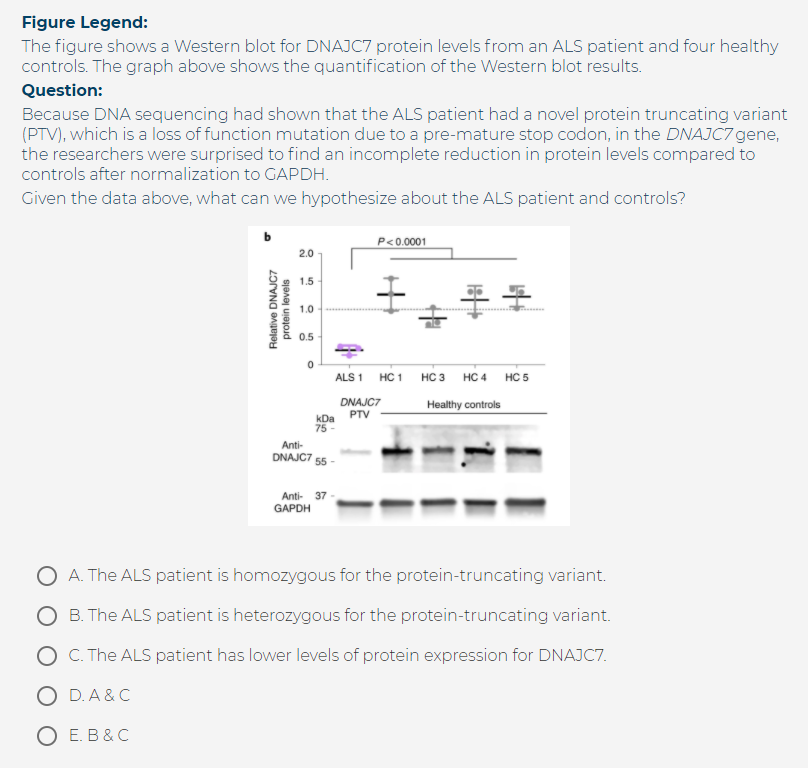 Solved Figure Legend: The figure shows a Western blot for | Chegg.com