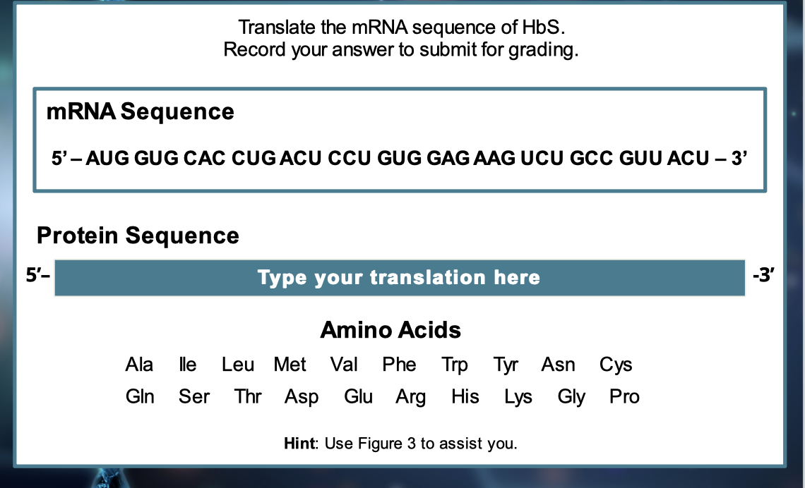 Solved Translate the mRNA sequence of HbS. Record your | Chegg.com