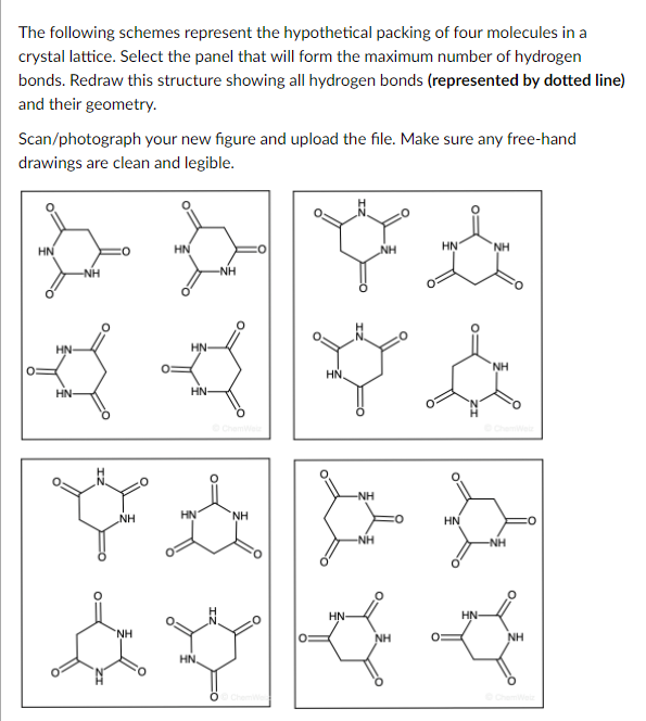 Solved The following schemes represent the hypothetical | Chegg.com