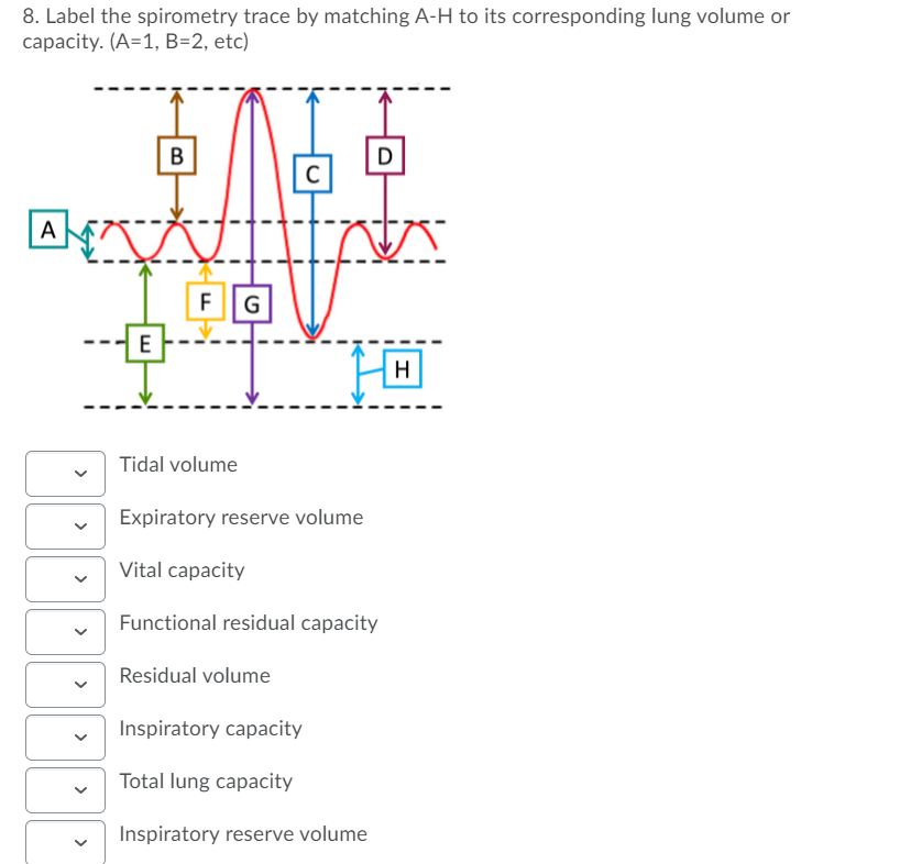 Solved 8. Label the spirometry trace by matching A-H to its | Chegg.com