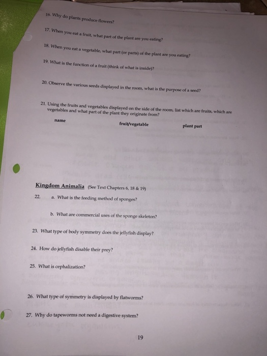 Solved 16. Why do plants produce flowers? 17. When you eat a