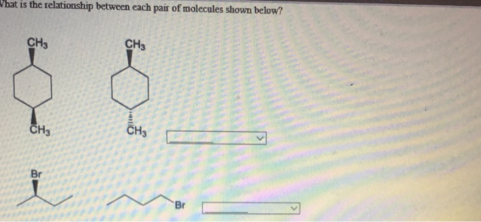 Solved Identify each of the above structures as either | Chegg.com