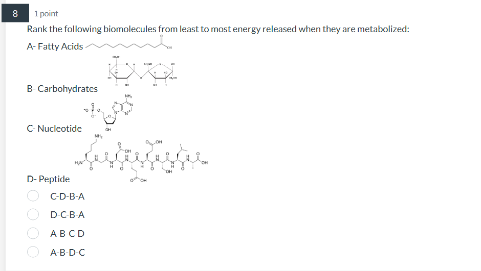 Solved Rank The Following Biomolecules From Least To Most | Chegg.com