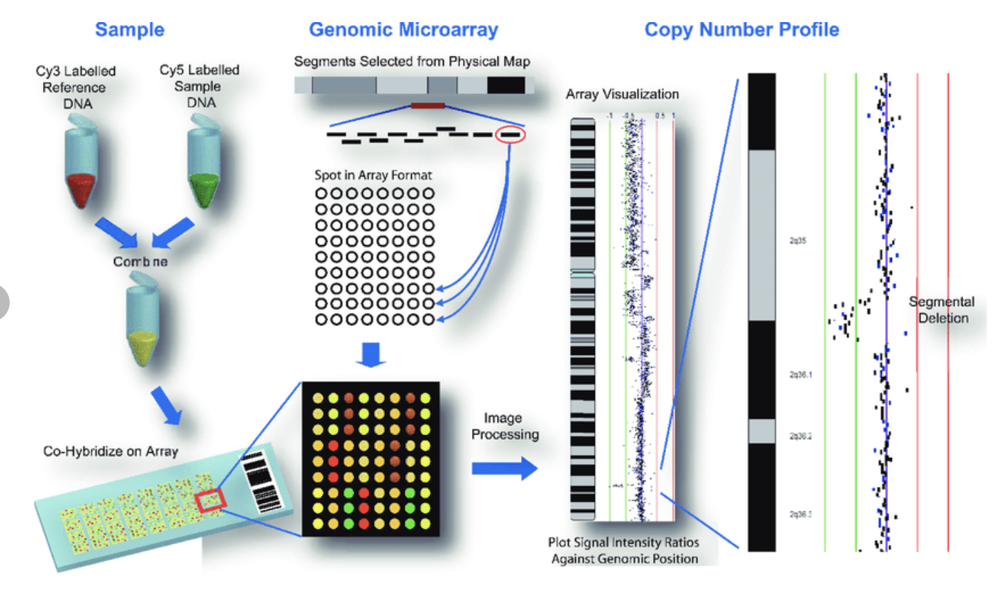 Dna sampling. CGH сравнительная геномная гибридизация. Микроматричный анализ. Метод CGH. CGH метод в генетике.