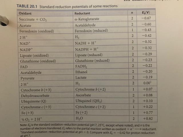 how to calculate reduction potential glutathione Jarrow Formulas Reduced Intracellular Antioxidant Capsules 500 mg, 60 ct Oxidation/reduction potential of glutathione |