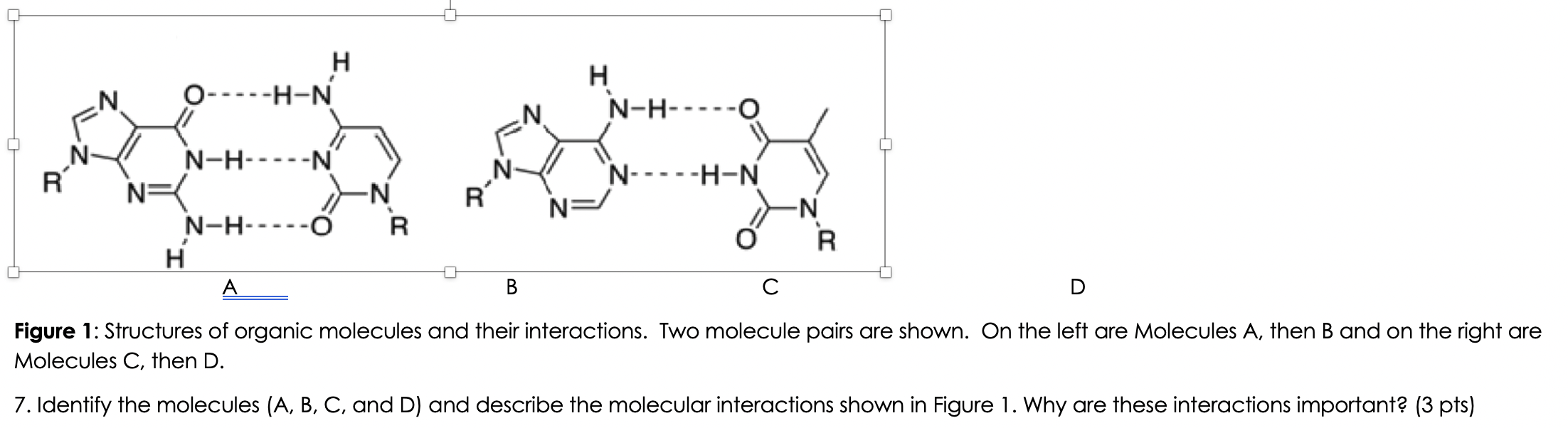 Solved H -H-N N H N-H--- N N R N-----H-N R N-H-----N NE | Chegg.com, image size:2204x602