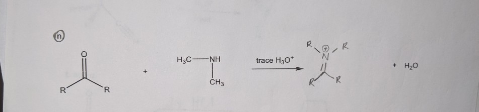 Solved R HAC -NH trace H30+ + H2O CH3 | Chegg.com