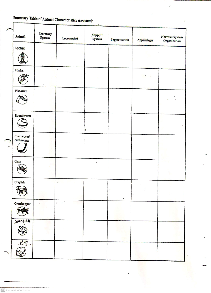 Solved Summary Table of Animal Characteristics (continued | Chegg.com