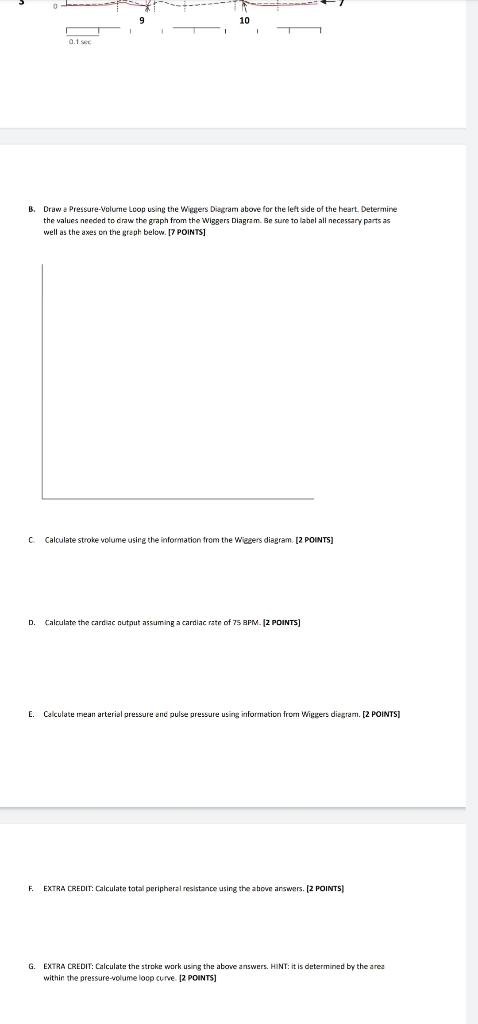Solved C. Calculate stroke volume using the information from | Chegg.com