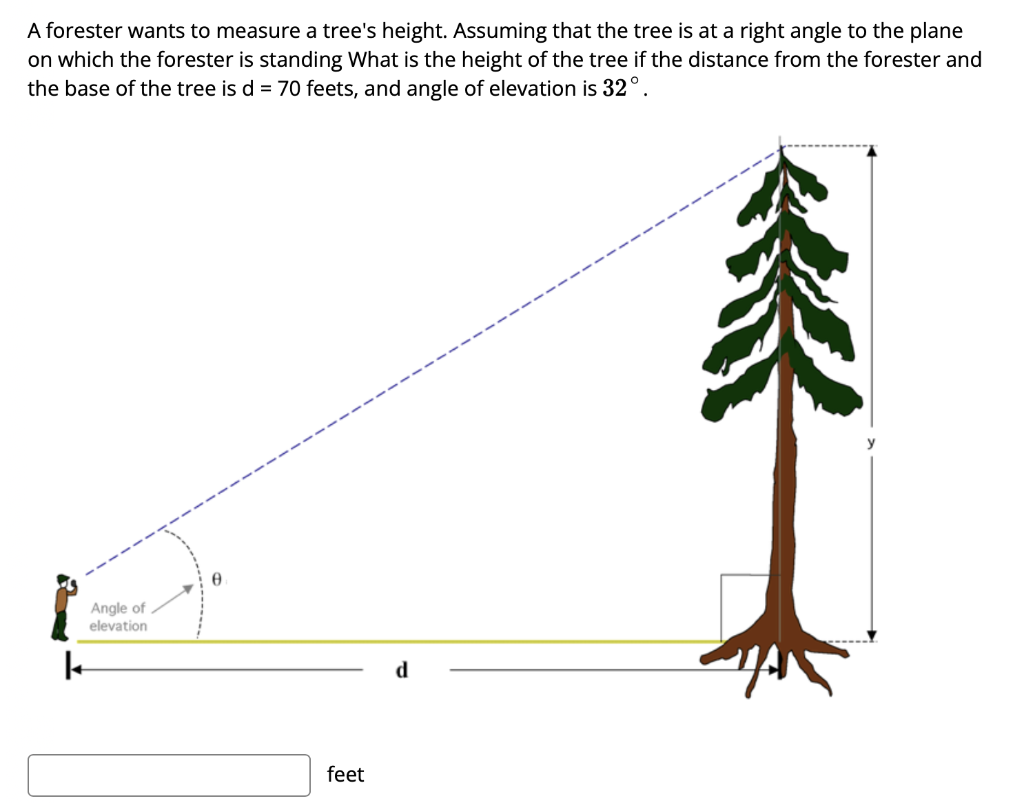 Solved A forester wants to measure a tree's height. Assuming | Chegg.com