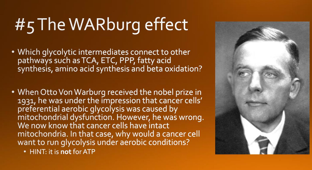 Solved 5 The WARburg effect .Which glycolytic intermediates