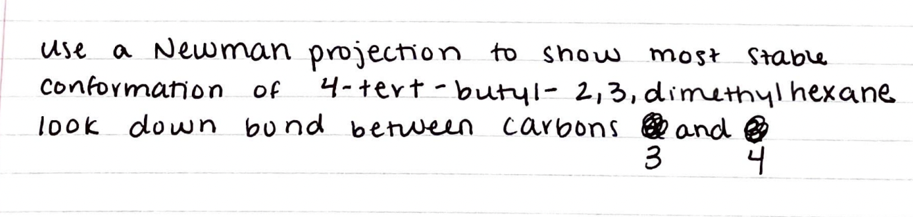 3 tert butyl 2 2 dimethylpentane newman projection