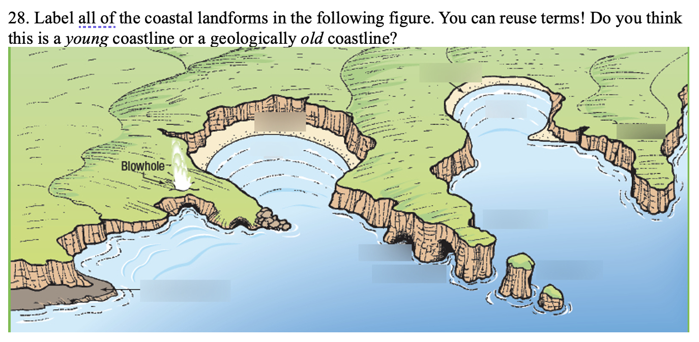 Solved 28. Label All Of The Coastal Landforms In The | Chegg.com