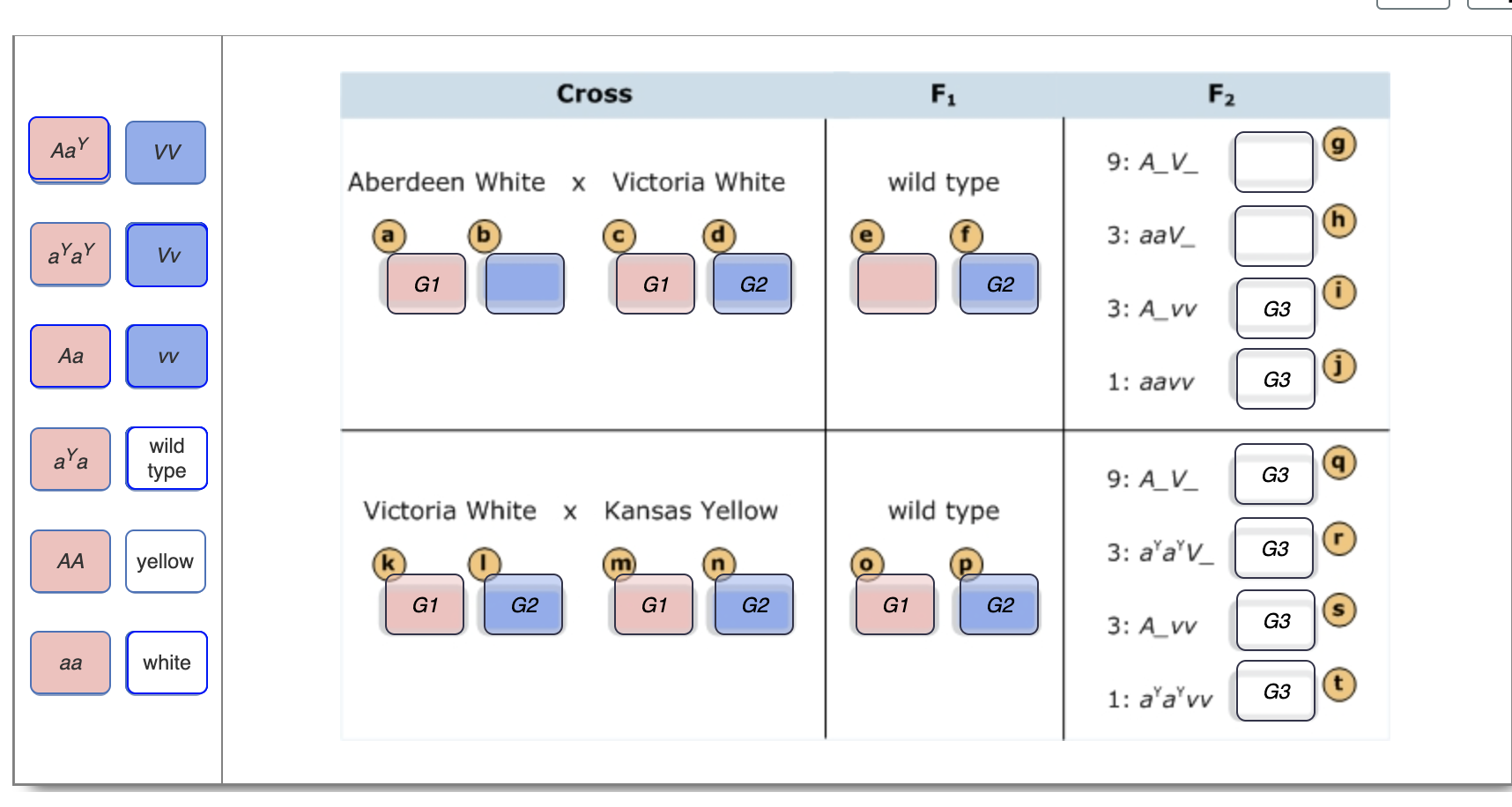 Solved Based on your analysis so far, you assign the