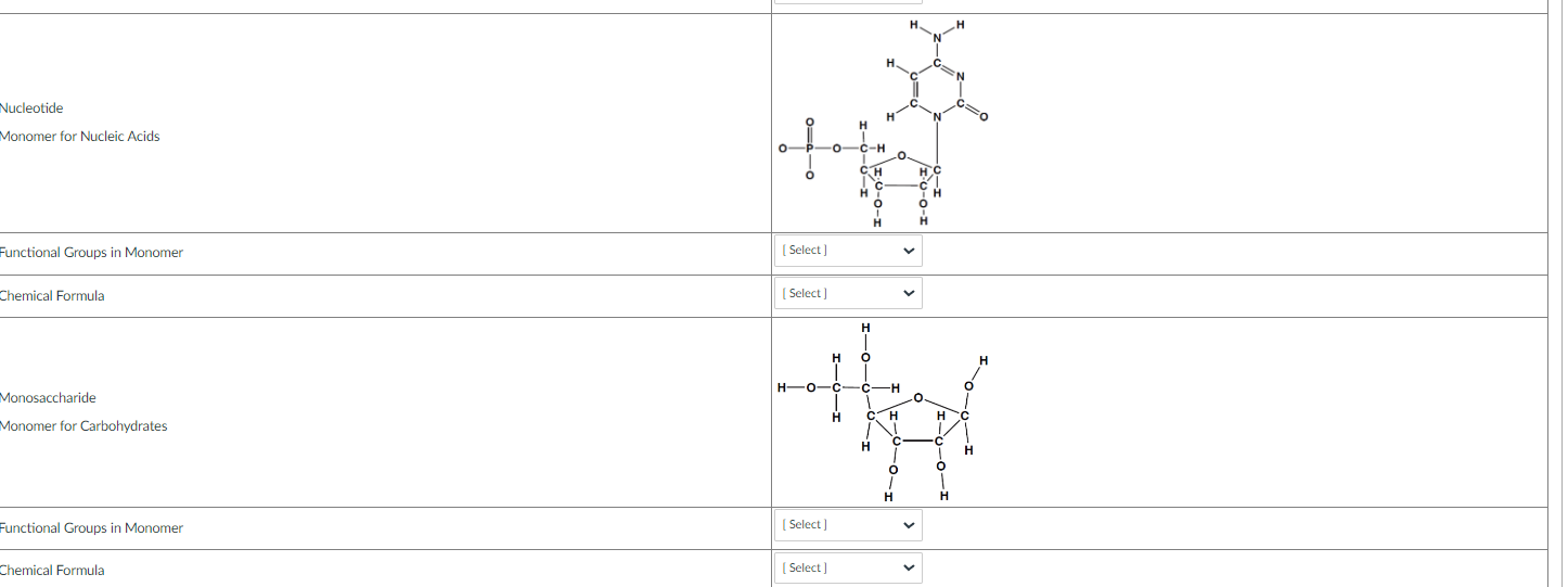 Monomer for Nucleic Acids
Monosaccharide
Monomer for Carbohydrates
Chemical Formula