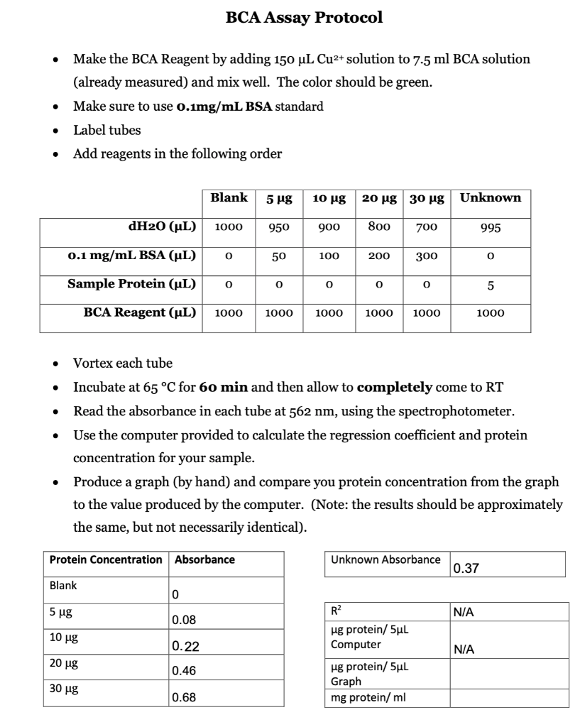 BCA Assay Protocol • Make the BCA Reagent by adding