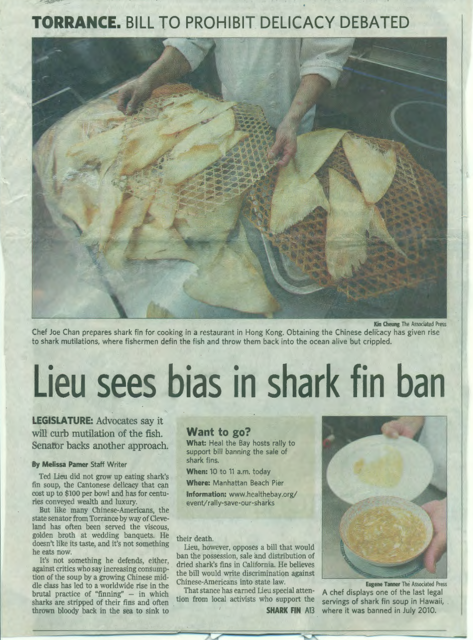 Americans want a shark fin ban