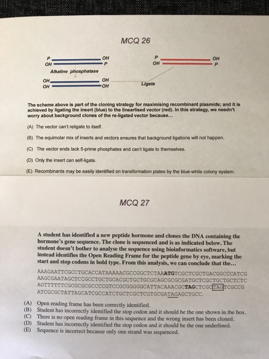 Solved MCQ 26 OH OH OH Alkaline phosphatase OH OH OH OH | Chegg.com