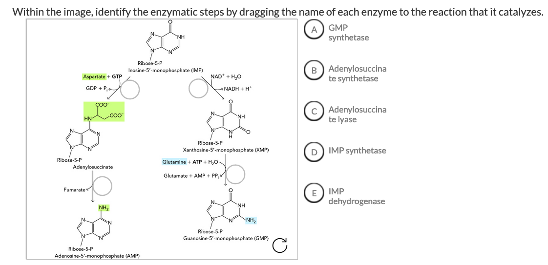 Solved Within The Image, Identify The Enzymatic Steps By | Chegg.com