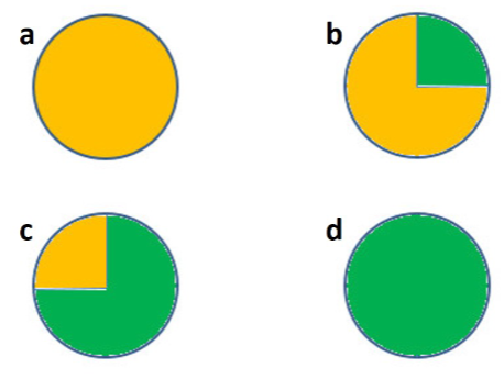 Solved The pie charts represent how total mechanical energy | Chegg.com