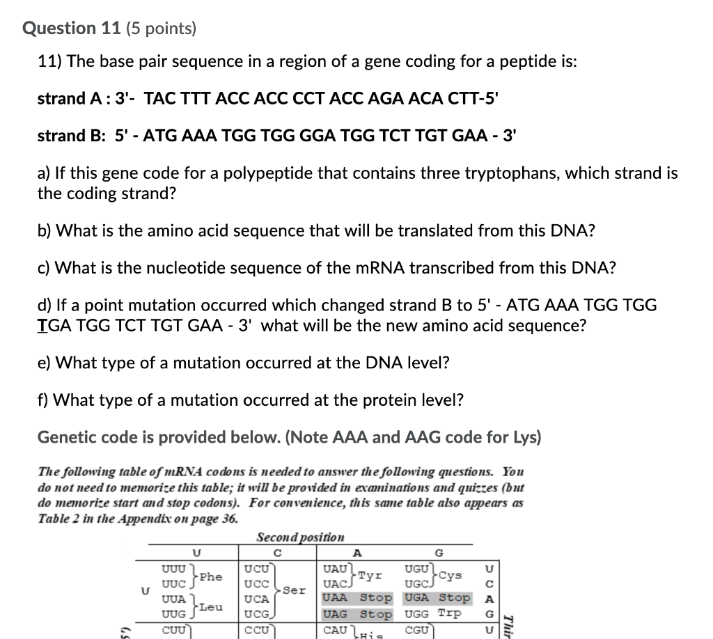 Solved Question 11 (5 points) 11) The base pair sequence in | Chegg.com