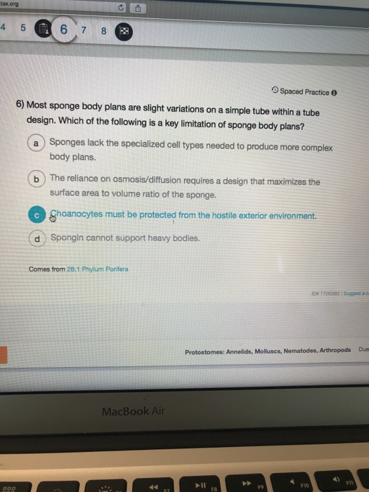Solved 6 7 O Spaced Practice 6) Most sponge body plans