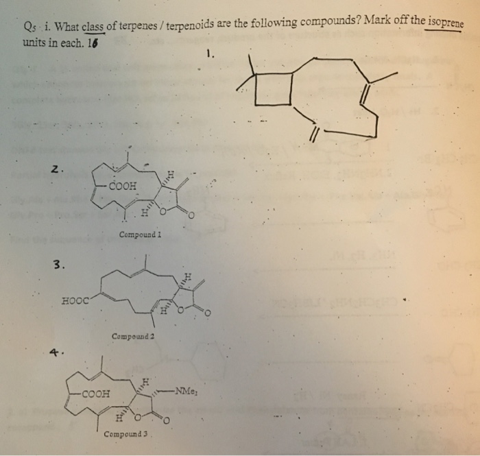 Solved What class of terpenes/terpenoids are the following | Chegg.com