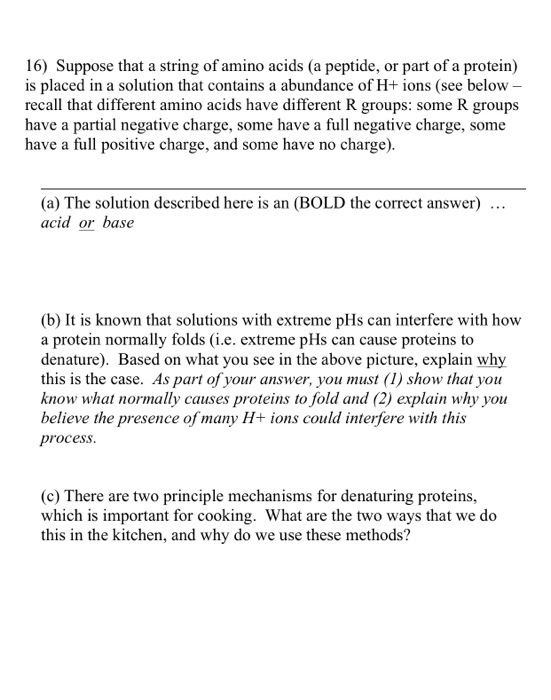 Solved 16) Suppose that a string of amino acids (a peptide, | Chegg.com
