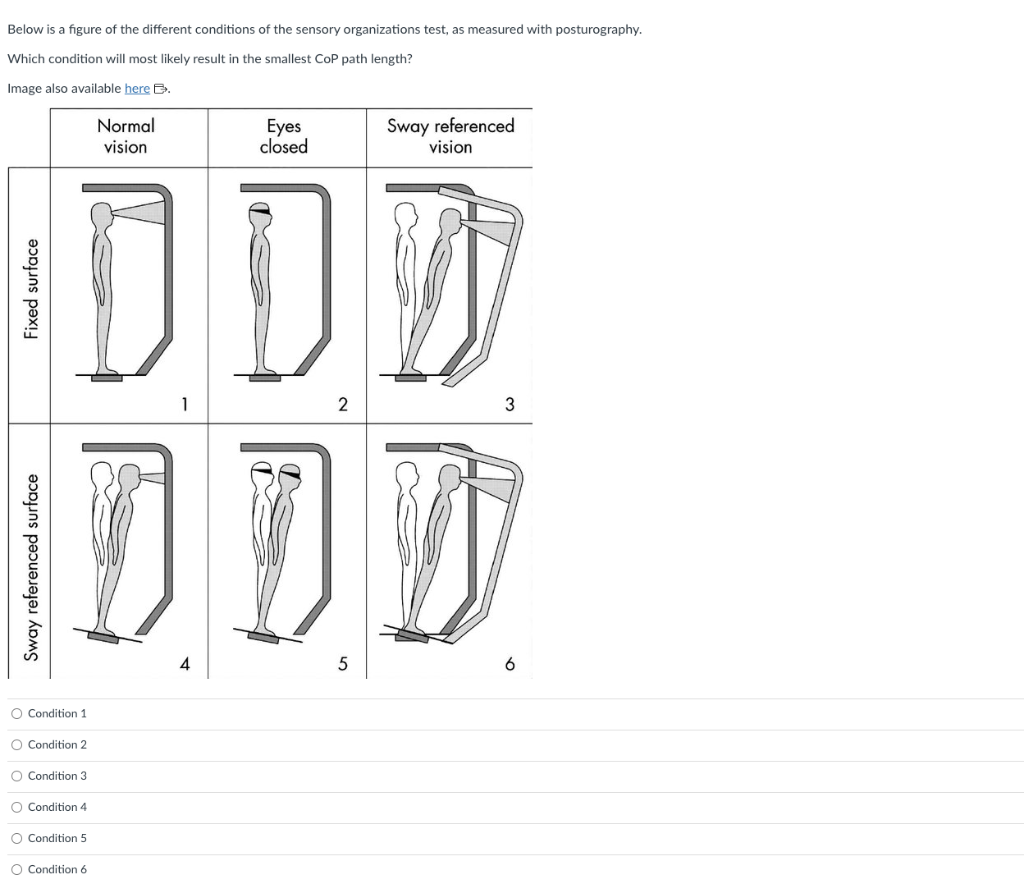 Solved Below is a figure of the different conditions of the | Chegg.com