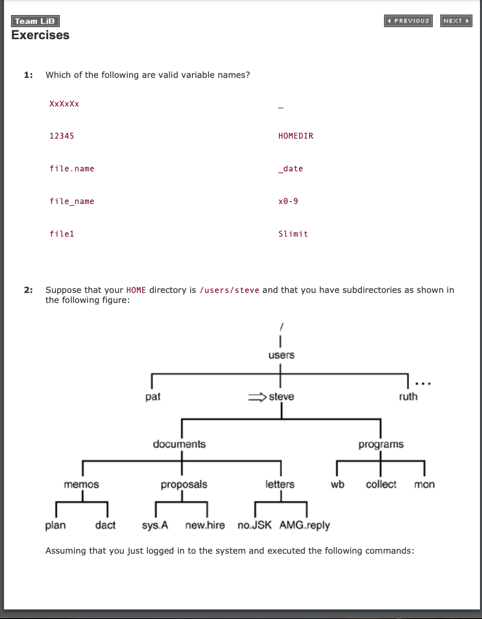 (Solved) Previous Next Team Lib Exercises 1 Following Valid Variable