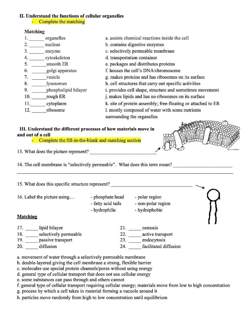 Solved I. Identifying Cell Organelles 1. Read p. 75-84 in | Chegg.com