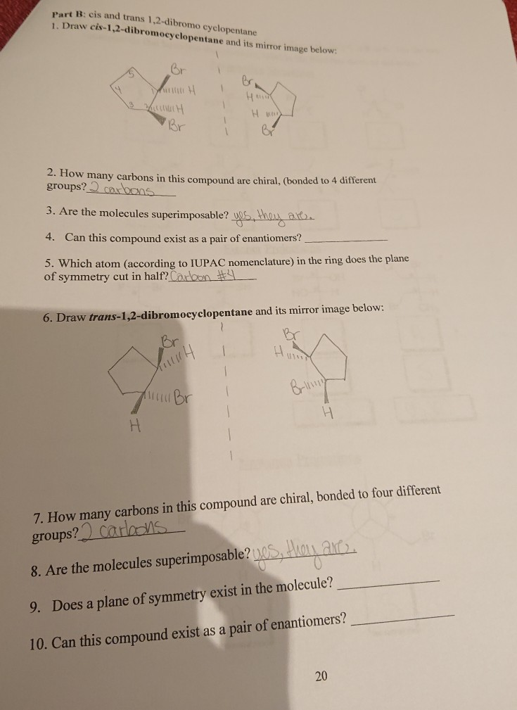 Solved Cart B Cis And Trans 1 2 Dibromo Cyclopentane 1 Chegg Com