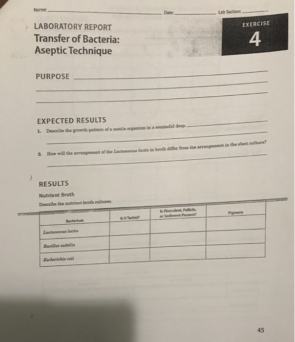 Solved Name Date Lab Section Laboratory Report Transfer 