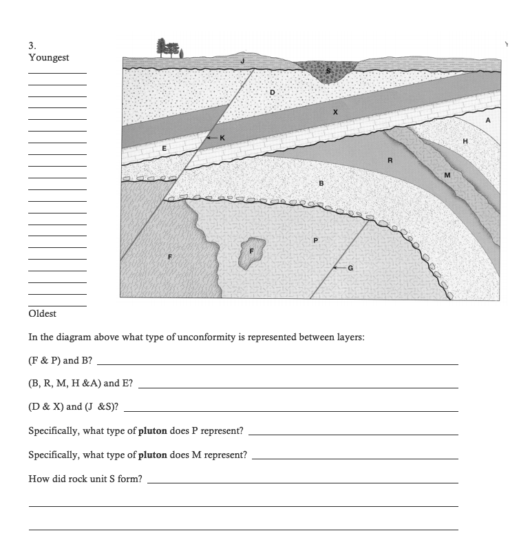 Solved Place Letters On The Appropriate Lines, Starting With 