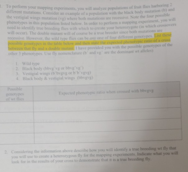 Solved Fruit fly lab need help by tomorrow. consider an