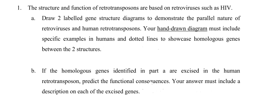 A 1 The Structure And Function Of Retrotransposons Chegg Com