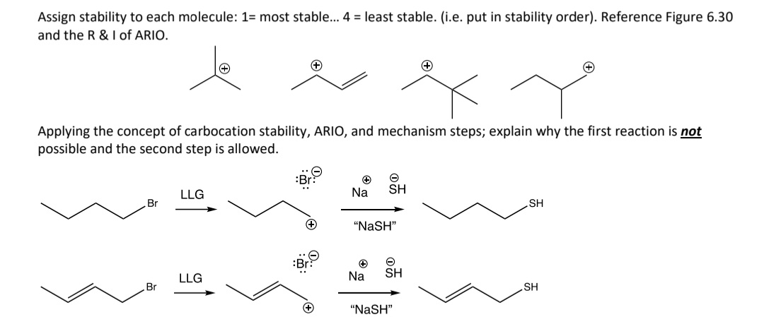 Solved Assign stability to each molecule: 1= most stable... | Chegg.com