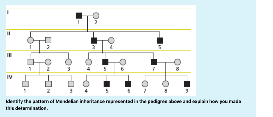 Solved Identify the pattern of Mendelian inheritance | Chegg.com