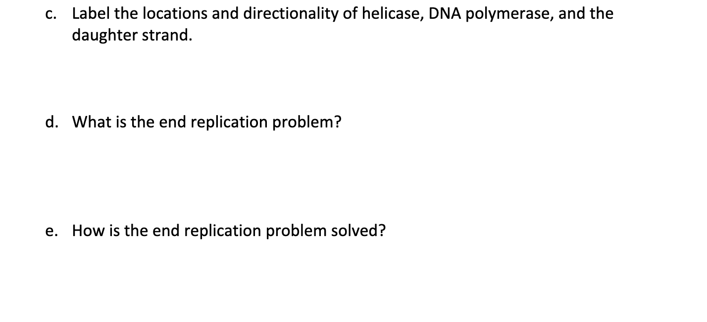 Solved 6. DNA replication involves an entire chromosome and | Chegg.com
