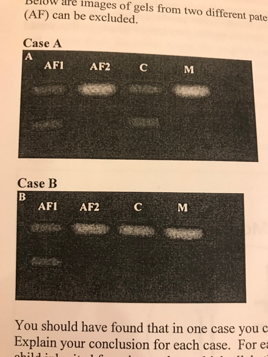 Solved Paternity Testing Lab Assignment Name: Part I (AF) | Chegg.com