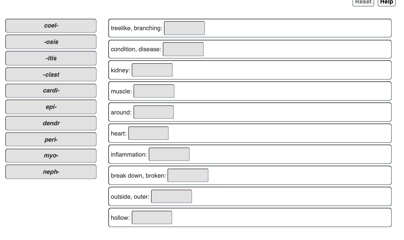 solved-can-you-match-these-prefixes-suffixes-and-word-chegg