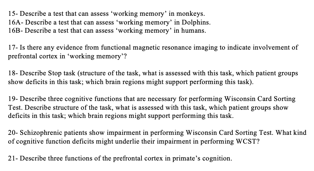 Solved 15- Describe a test that can assess ‘working memory' | Chegg.com