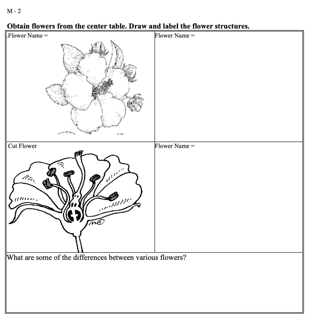 solved m 2 obtain flowers from the center table draw and chegg com