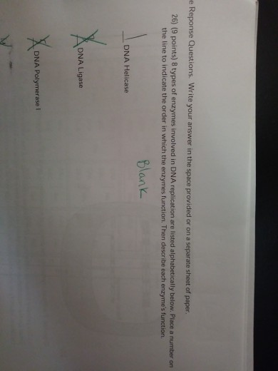 Solved e Reponse Questions. Write your answer in the space | Chegg.com