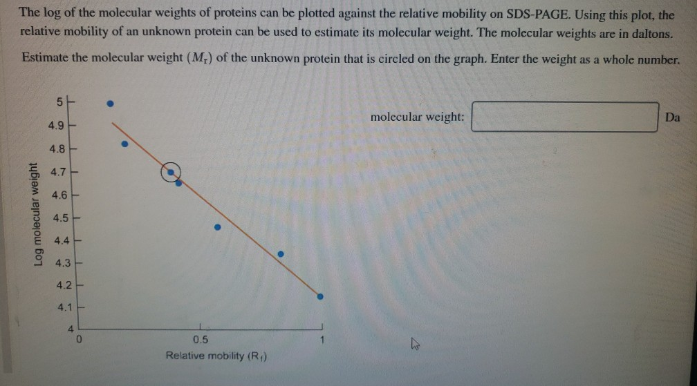 Solved The log of the molecular weights of proteins can be