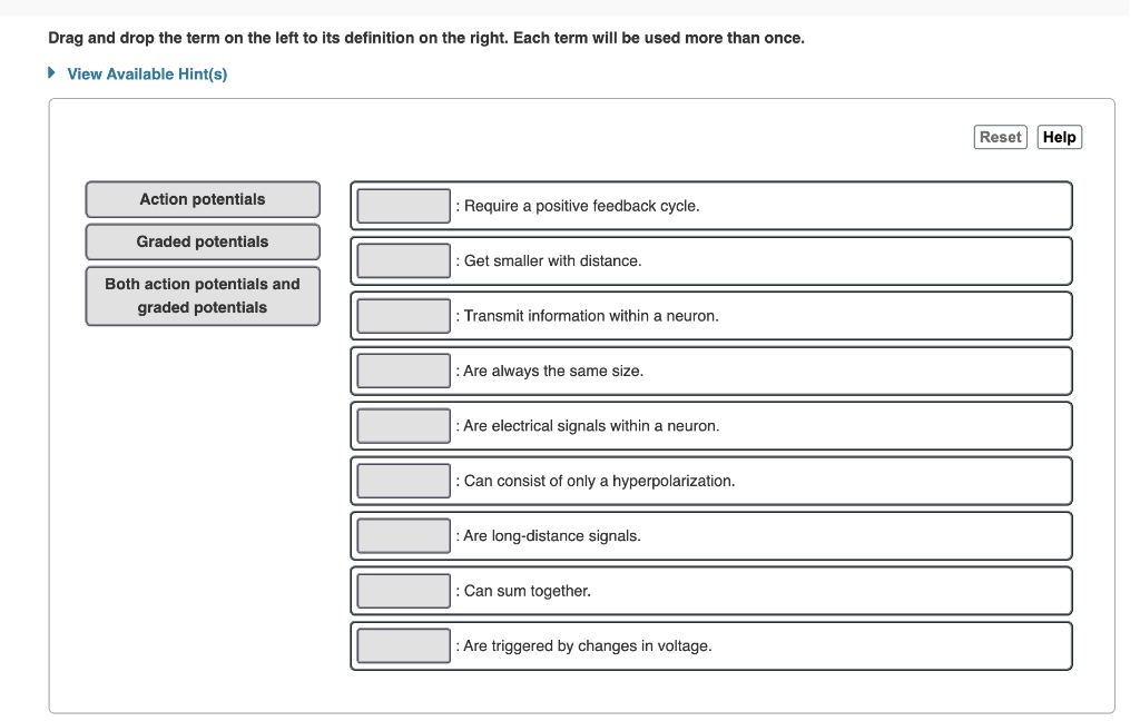 Solved Drag and drop the term on the left to its definition | Chegg.com