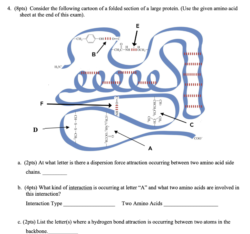 Solved 4. (8pts) Consider the following cartoon of a folded | Chegg.com