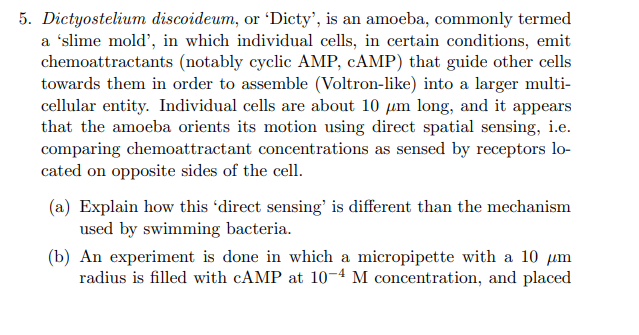 Dictyostelium discoideum, or 'Dicty', is an amoeba, | Chegg.com